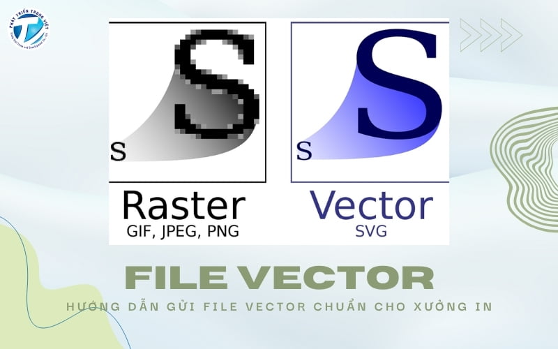 File vector là gì? Hướng dẫn gửi file vector đúng chuẩn cho xưởng in